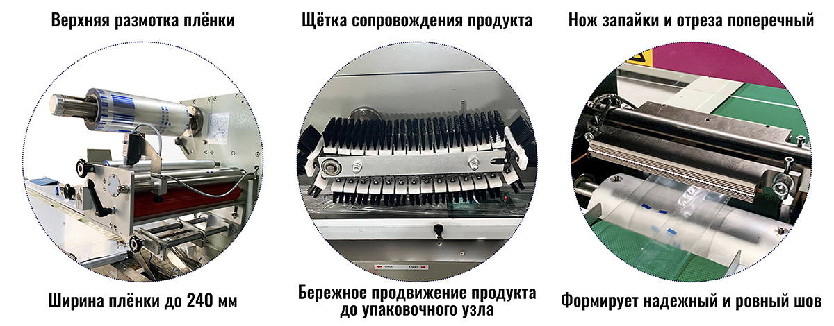 DCWB-инфографика-2.jpg